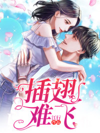 长篇小说沈南溪裴晟皓《全文阅读插翅难飞》免费阅读_(全文阅读插翅难飞)裴晟皓沈南溪完整版在线阅读