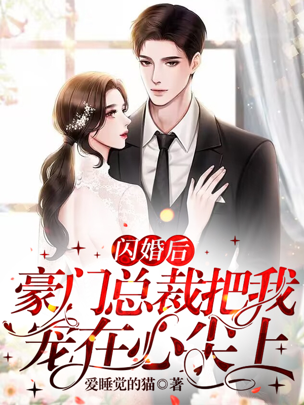 精选热门小说《全章节阅读闪婚后，豪门总裁把我宠在心尖上》文婷冉麒通全文阅读_(文婷冉麒通)免费阅读